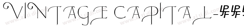 vintage capital字体转换